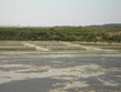 marais salants