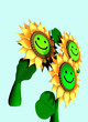 girasoles