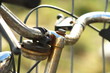 rusty bike
