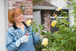 women cut roses in garden women cut roses in garden