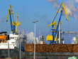holz hafen