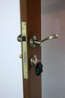 the lock with keys and the open door