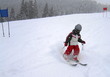ski girl 2