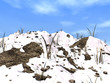 snow_rocky