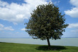 lake balaton