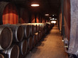 wine celler wine celler