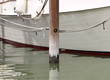 sailboat at a phylum