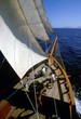 sigismondo 0022