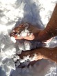 feet