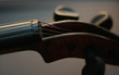violin