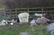 dumped rubbish