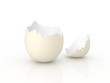 egg shell