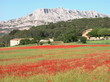 sainte-victoire