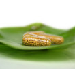 tabletten - medizin