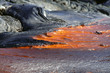 kilauea 0248 kilauea 0248