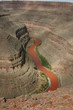 goosenecks : serpentin du canyon