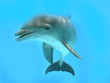 delfino