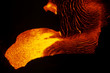 kilauea 0517