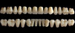 tooth