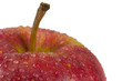 wet red apple