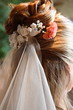 coiffure mariée