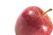 red apple on it's aide