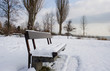 bench