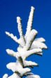 heavy snow