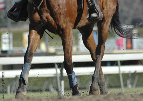 Photo: race horse hooves race horse hooves