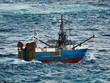 fishing boat