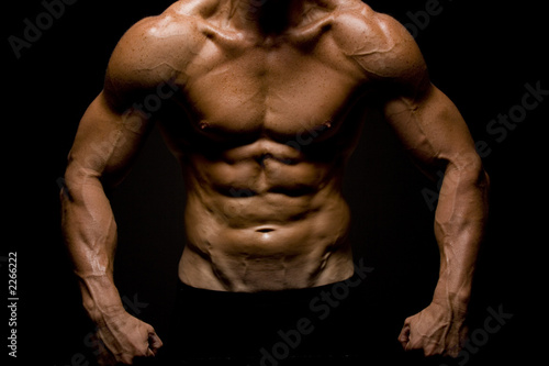 körperfettanteil bodybuilder