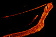 etna 0174