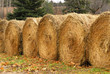 hay bales