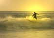 sunset surfer in the wave