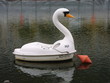 Foto: schwantreboot schwantreboot