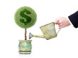 home business