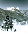 winter postcard