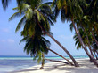 plage de guadeloupe