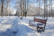 red benches red benches