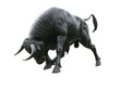 toro