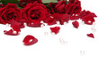 red roses