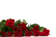 red roses