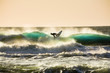 sundown surfer sundown surfer