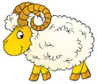 ram