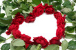 red roses