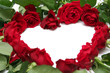 red roses
