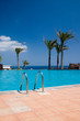 pooltree1