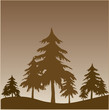 forest nature