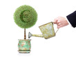 home business