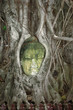 bouddha